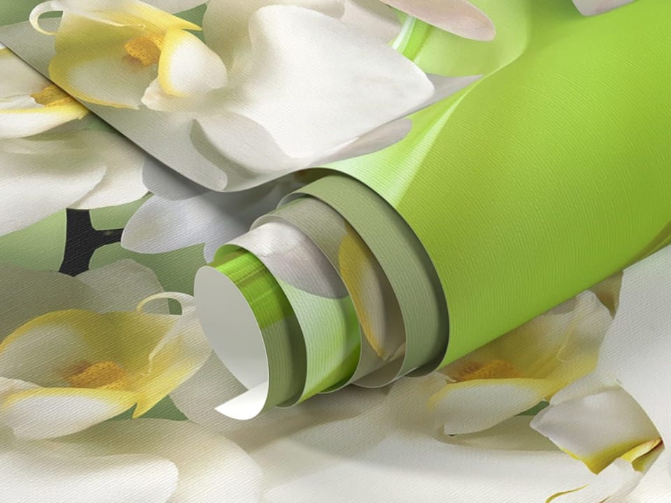 Fototapeta Białe Orchidee na Zielonym Tle - realne zdjęcie w rolce