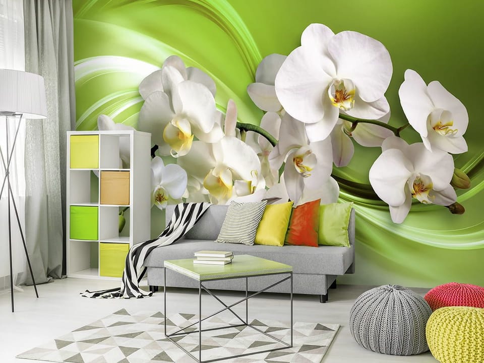 Fototapeta Białe Orchidee na Zielonym Tle - aranżacja w salonie