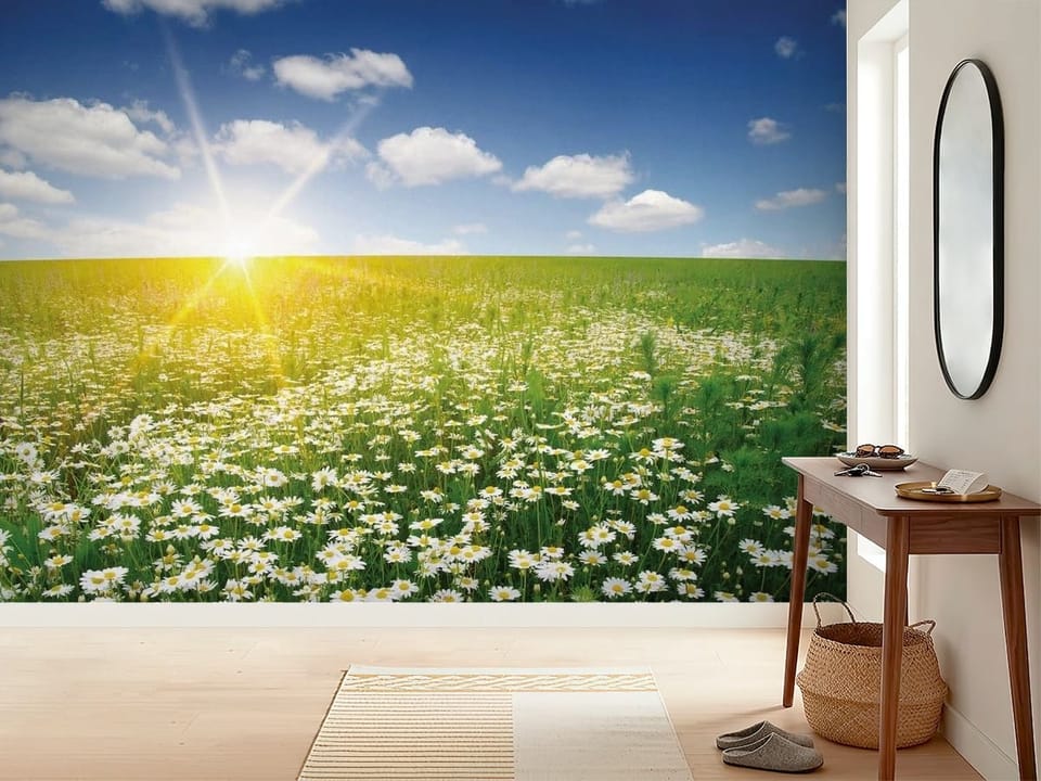 Fototapeta z polem rumianku, zieloną trawą i niebem z chmurami - inspiracji do minimalistycznego przedpokoju