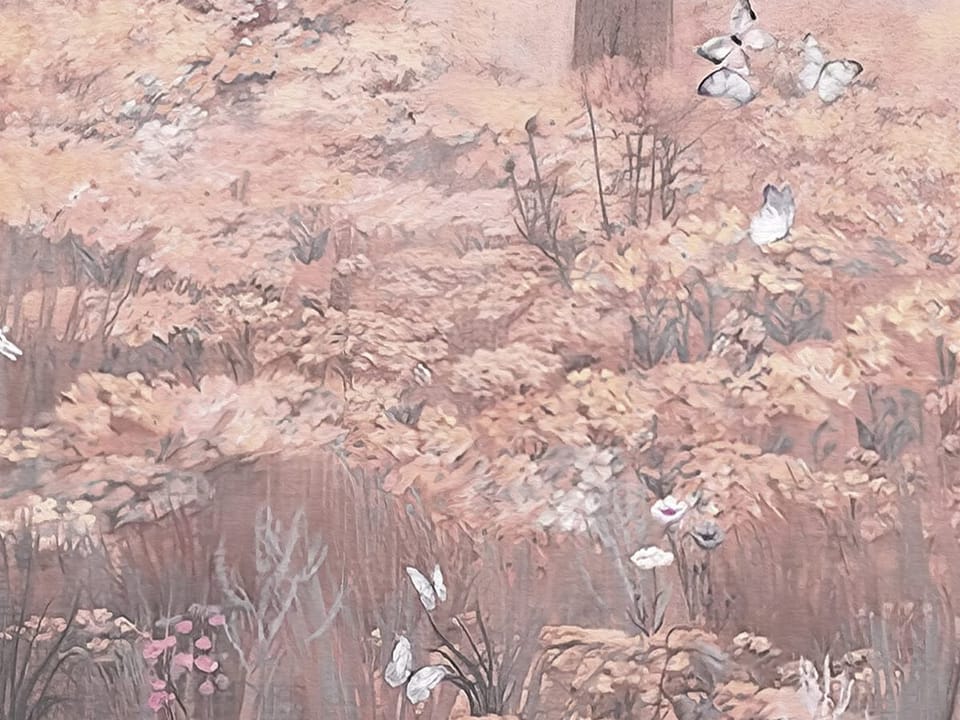 Fototapeta Las z wysokimi drzewami i mgłą - jakość wydruku i struktura materiału
