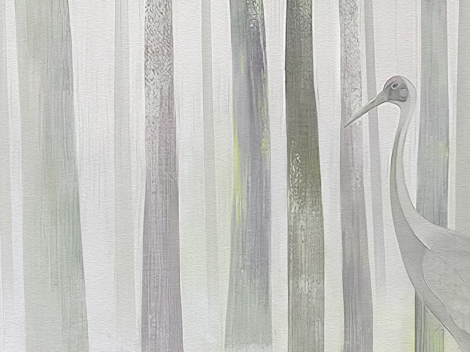 Fototapeta Leśna mgła i wysokie drzewa - realne zdjęcie w rolce