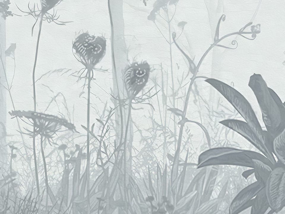 Fototapeta Las z mglistą atmosferą - jakość wydruku i struktura materiału