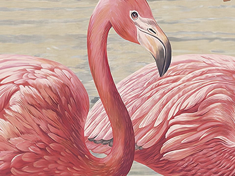 Fototapeta Flamingi w wodzie z magnoliami - realne zdjęcie w rolce
