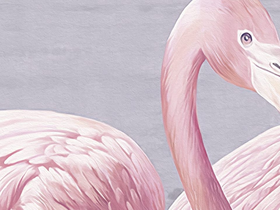 Fototapeta Flamingi w spokojnej scenerii - realne zdjęcie w rolce