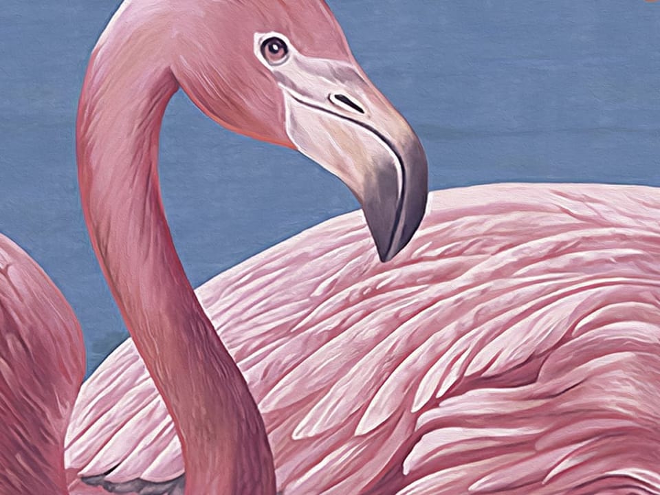 Fototapeta Flamingi wśród kwitnących magnolii - realne zdjęcie w rolce