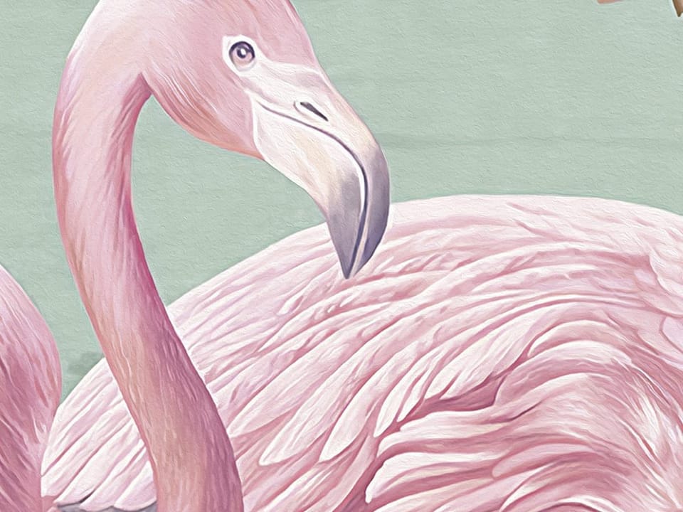 Fototapeta Flamingi w wodzie z magnoliami - realne zdjęcie w rolce