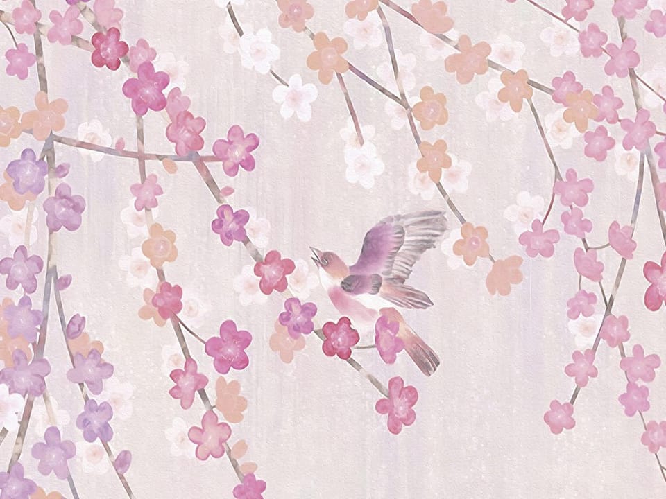 Fototapeta Sakura z różowymi kwiatami - realne zdjęcie w rolce