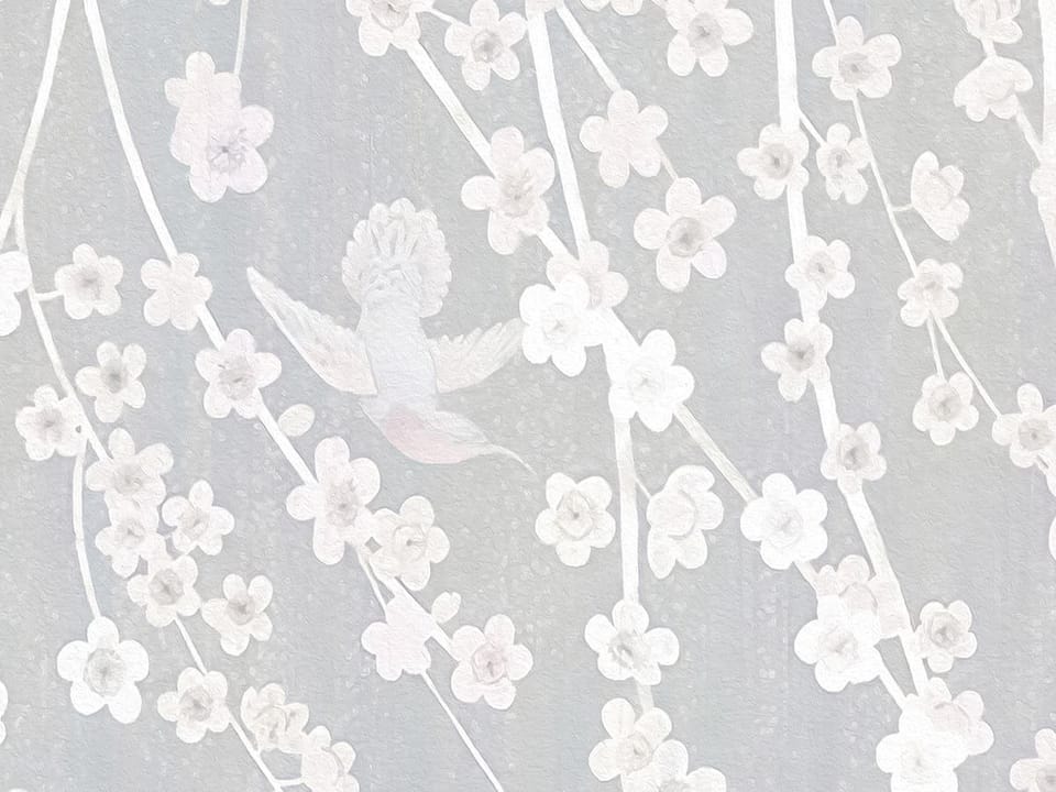 Fototapeta Sakura – delikatne kwiaty na gałęziach - realne zdjęcie w rolce