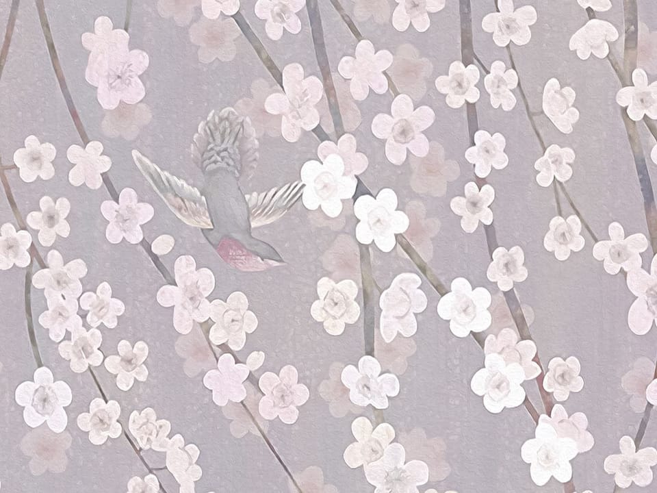 Fototapeta Sakura na gałęziach drzewa - realne zdjęcie w rolce