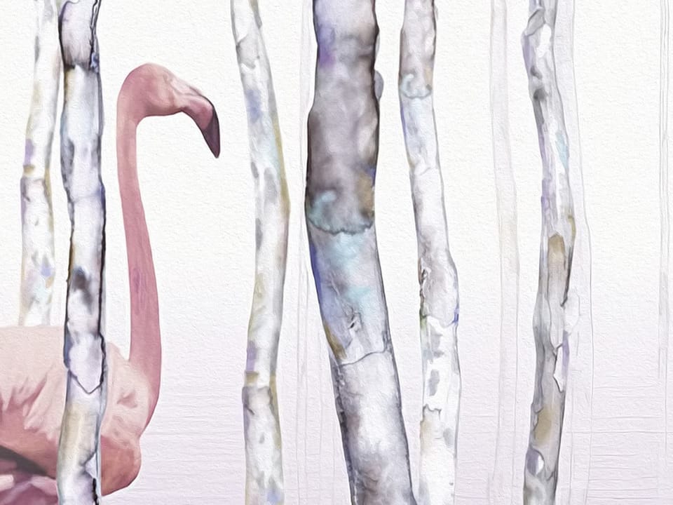 Fototapeta Las z flamingami wśród drzew - realne zdjęcie w rolce