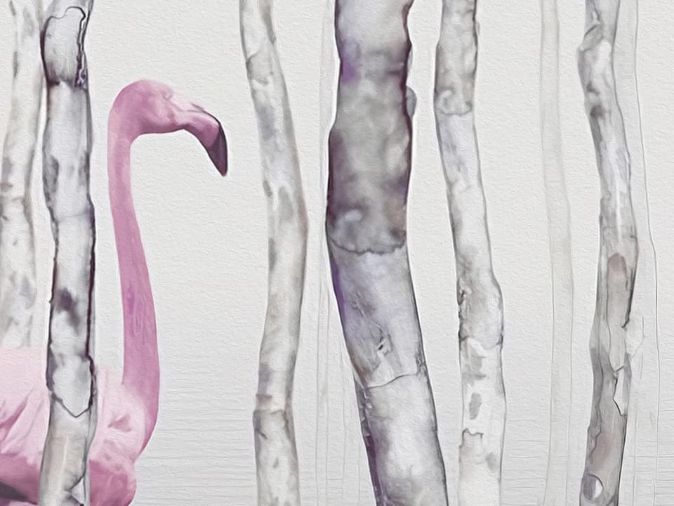Fototapeta Flamingi w lesie z mglistym tłem - realne zdjęcie w rolce