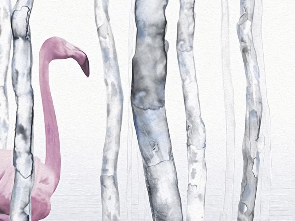 Fototapeta Różowe flamingi w lesie - realne zdjęcie w rolce