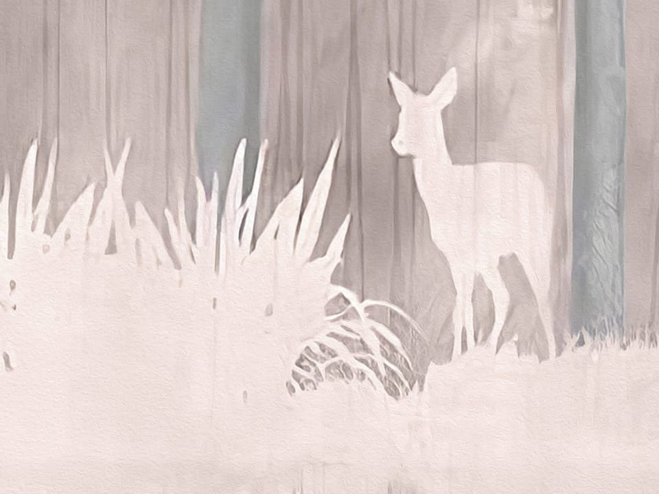 Fototapeta Leśne Sylwetki Jeleni - realne zdjęcie w rolce