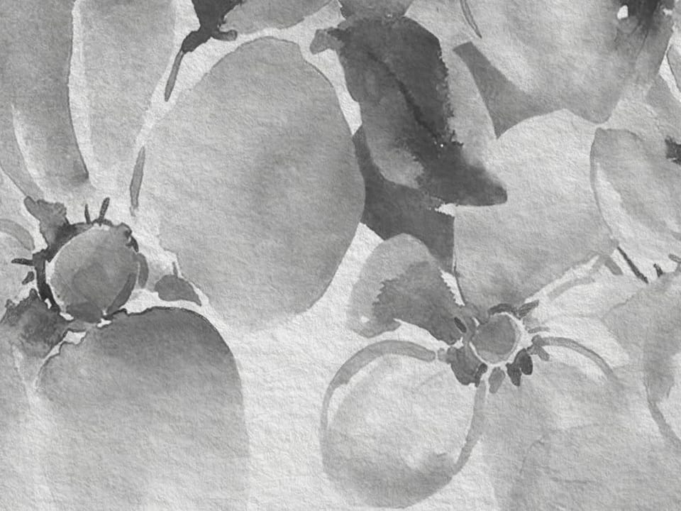 Fototapeta Kolorowe kwiaty z liśćmi - jakość wydruku i struktura materiału