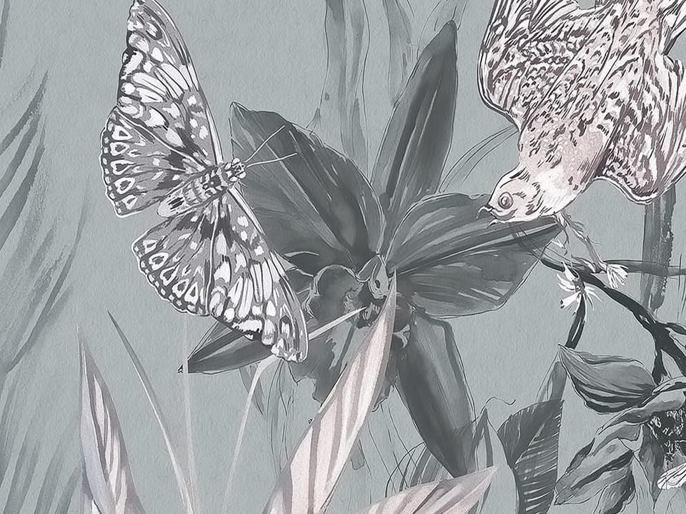 Fototapeta Leśne ptaki i paprocie - realne zdjęcie w rolce
