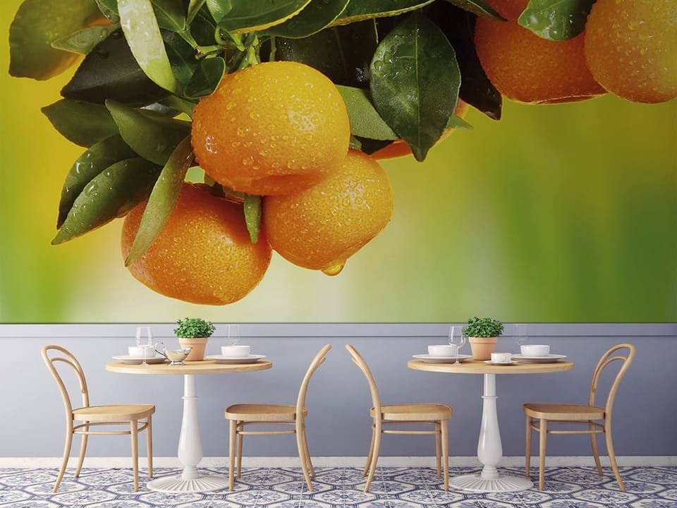 Fototapeta Gałąź z pomarańczowymi owocami we wnętrzu kawiarni