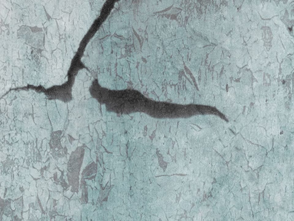 Fototapeta Tropikalne liście z papugą - jakość wydruku i struktura materiału