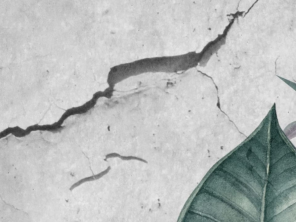 Fototapeta Tropikalne liście i kwiaty - jakość wydruku i struktura materiału
