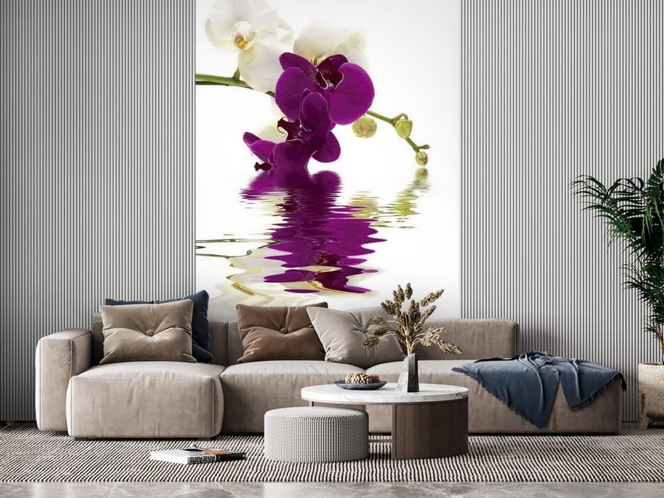 Fototapeta z fioletowymi i białymi orchideami odbijającymi się w wodzie - inspiracja do pięknego salonu