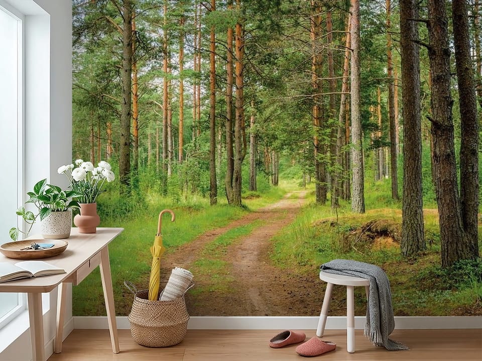 Fototapeta przedstawiająca leśną drogę otoczoną wysokimi sosnami i zieloną trawą - widok na ścianę w przedpokoju