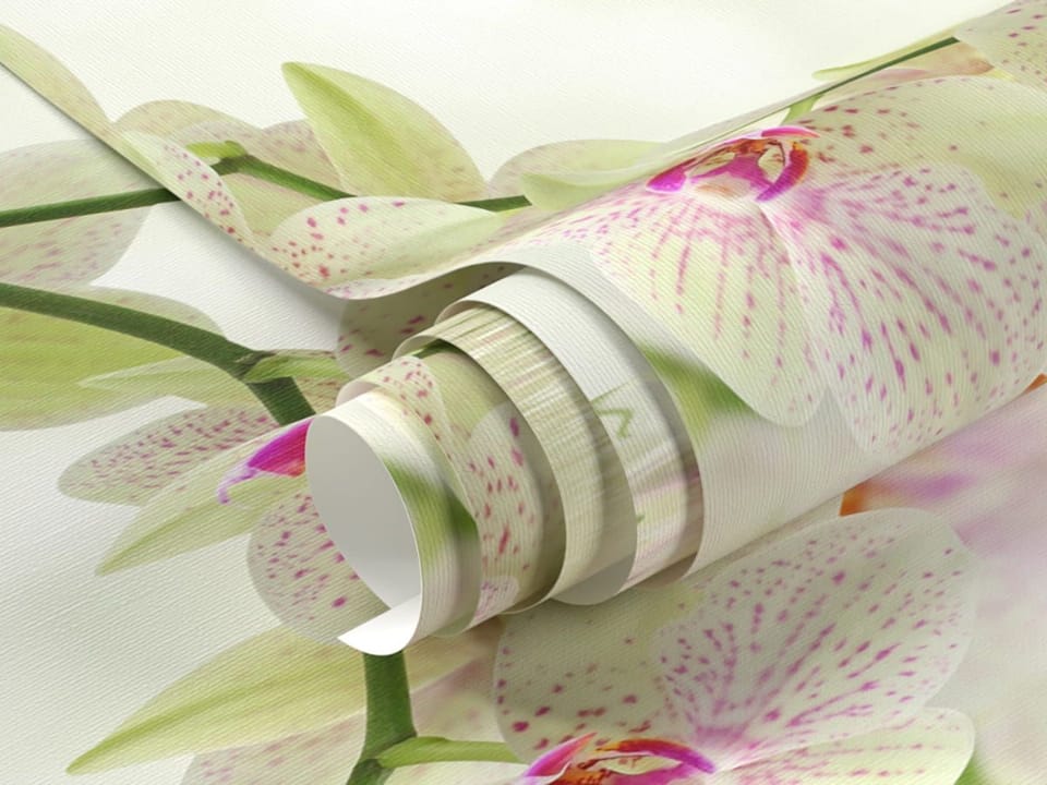 Fototapeta Storczyki nad spokojną wodą fragment #1