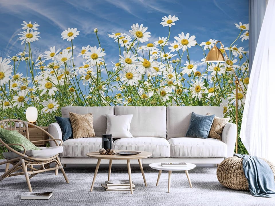 Fototapeta Pole stokrotek pod niebem we wnętrzu salonu