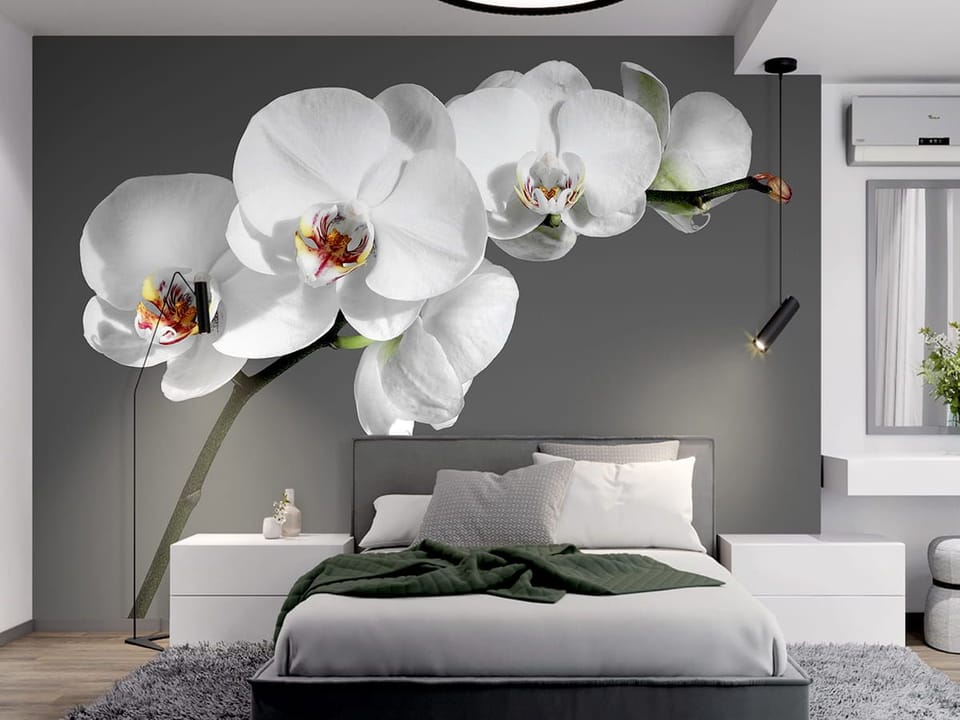 Fototapeta Orchidea na szarym tle - aranżacja w sypialni