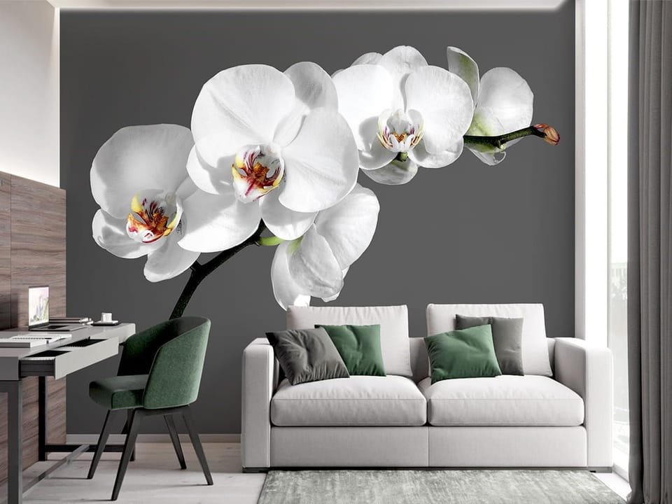 Fototapeta Orchidea na szarym tle - aranżacja w pokoju nastolatka