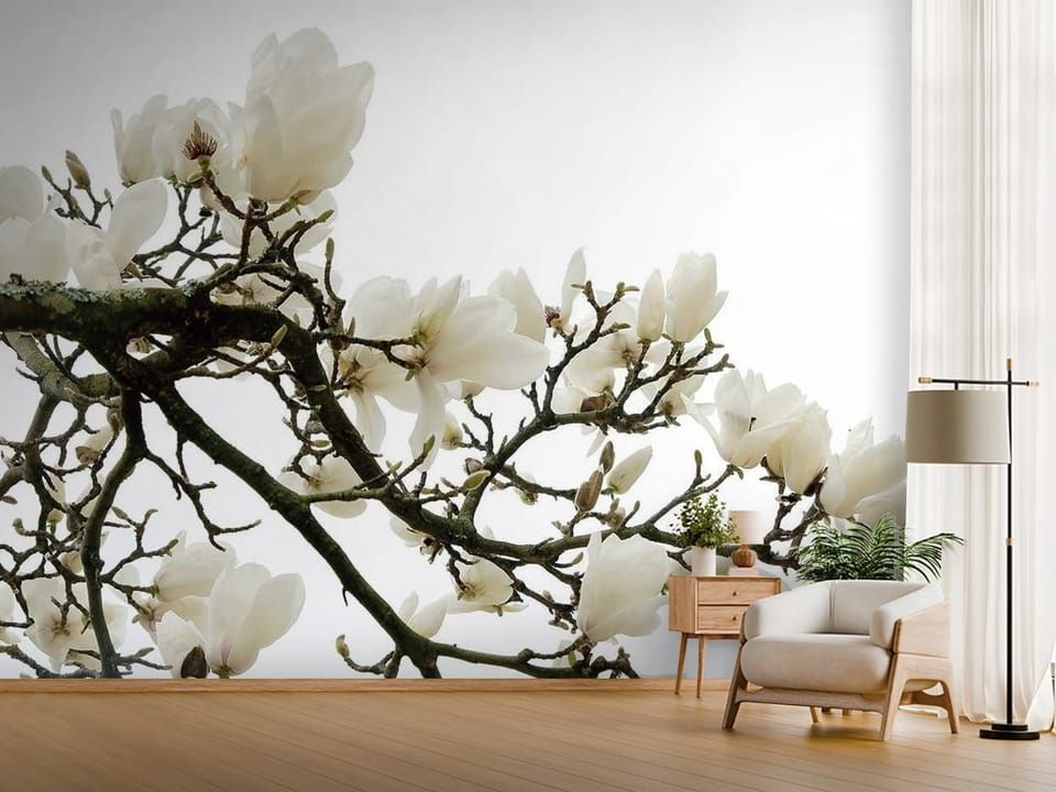 Fototapeta z białymi kwiatami magnolii na ciemnych gałęziach - jasny przedpokój w stylu minimalistycznym