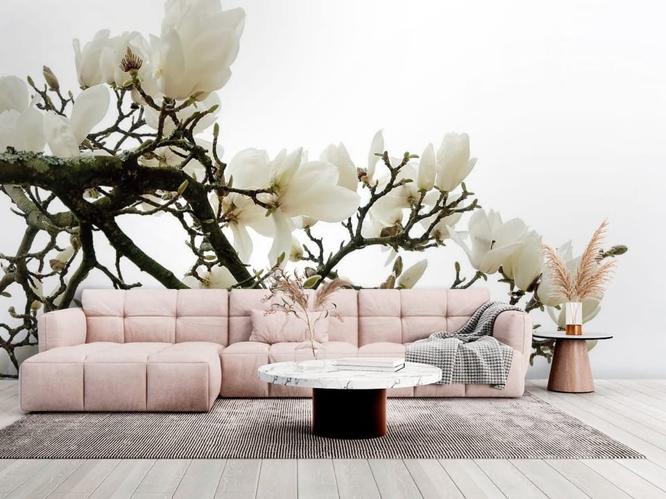 Fototapeta z białymi kwiatami magnolii na ciemnych gałęziach - salon w jasnych kolorach
