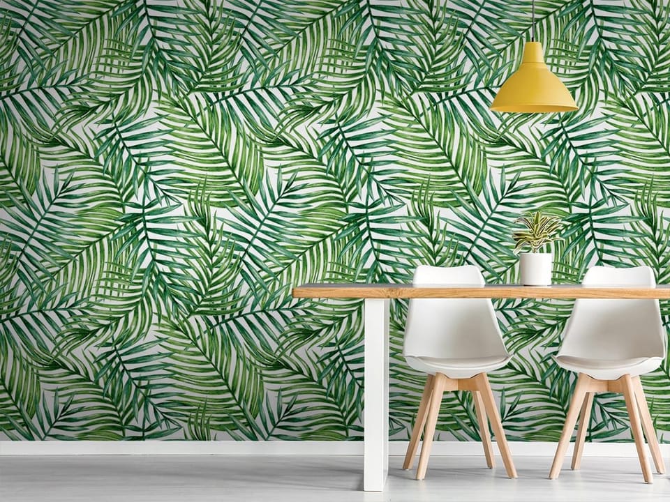 Fototapeta Zielone liście palmowe na białym tle - aranżacja w kuchni