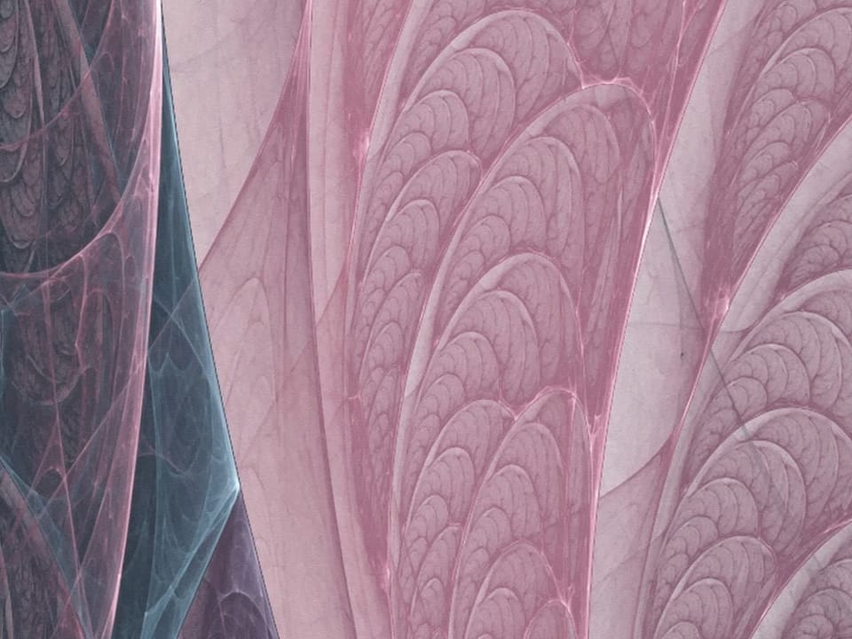 Fototapeta Abstrakcyjne różowe liście fragment #2