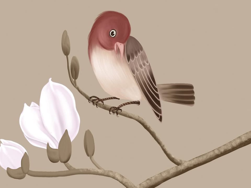 Fototapeta Gałązki magnolii z ptakami - realne zdjęcie w rolce