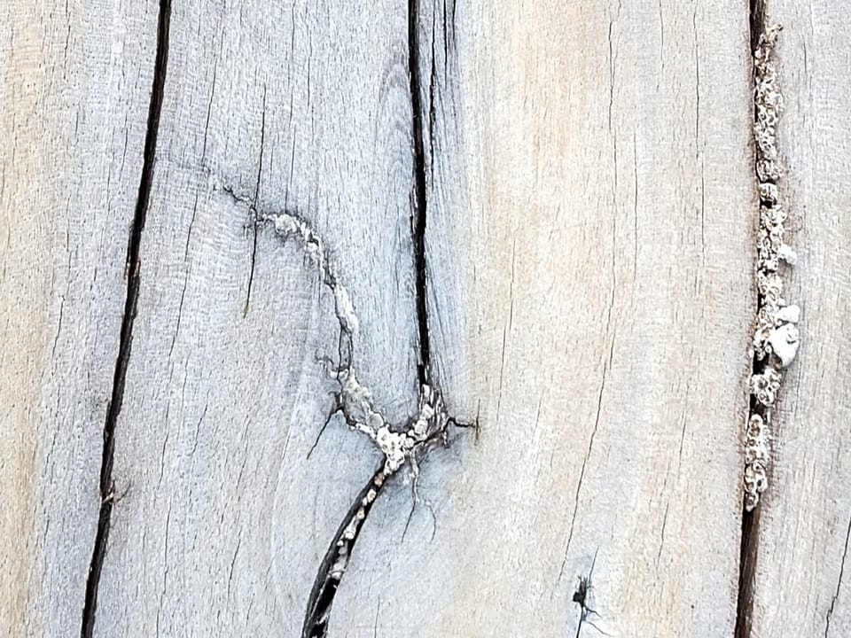 Fototapeta Zbliżenie Desek z Fakturą Drewna - jakość wydruku i struktura materiału