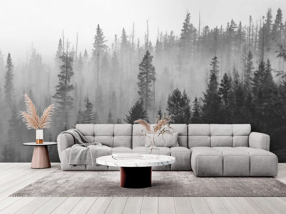 Fototapeta przedstawiająca gęsty las iglasty spowity mgłą, z ciemnymi sylwetkami drzew - elegancki salon w stylu minimalistycznym