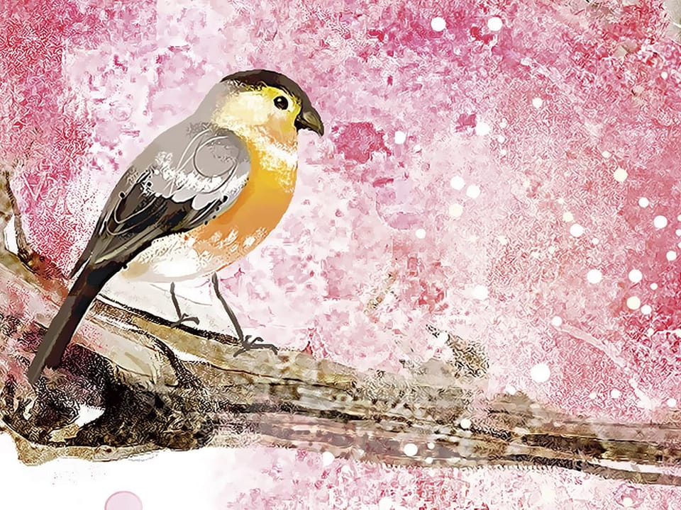 Fototapeta Domek dla ptaków na gałęzi fragment #1