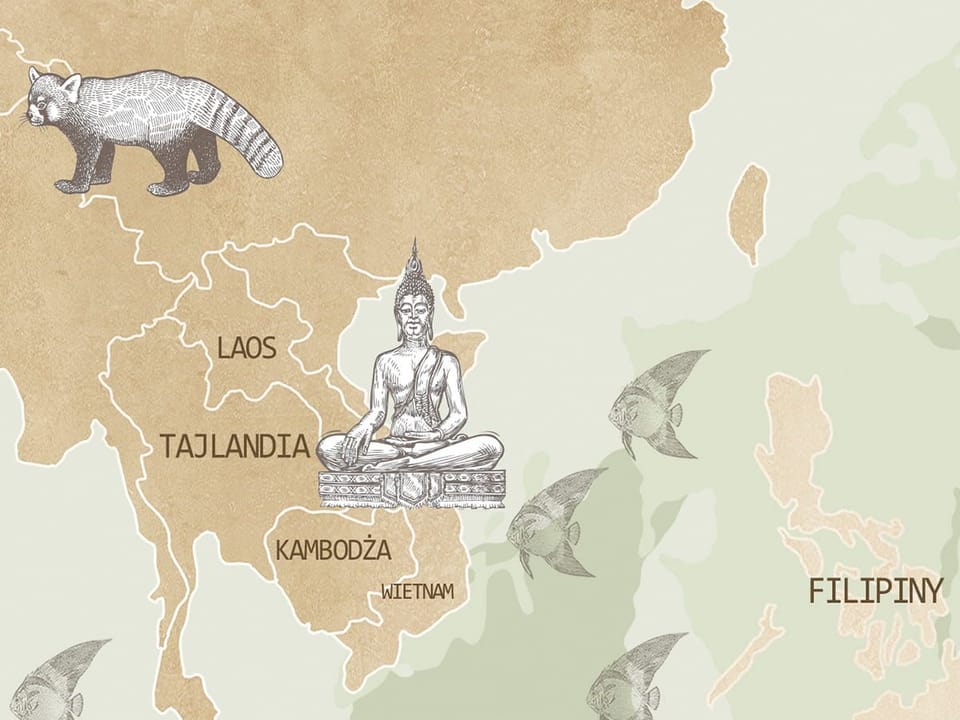 Fototapeta Mapa świata z ilustracjami zwierząt - jakość wydruku i struktura materiału