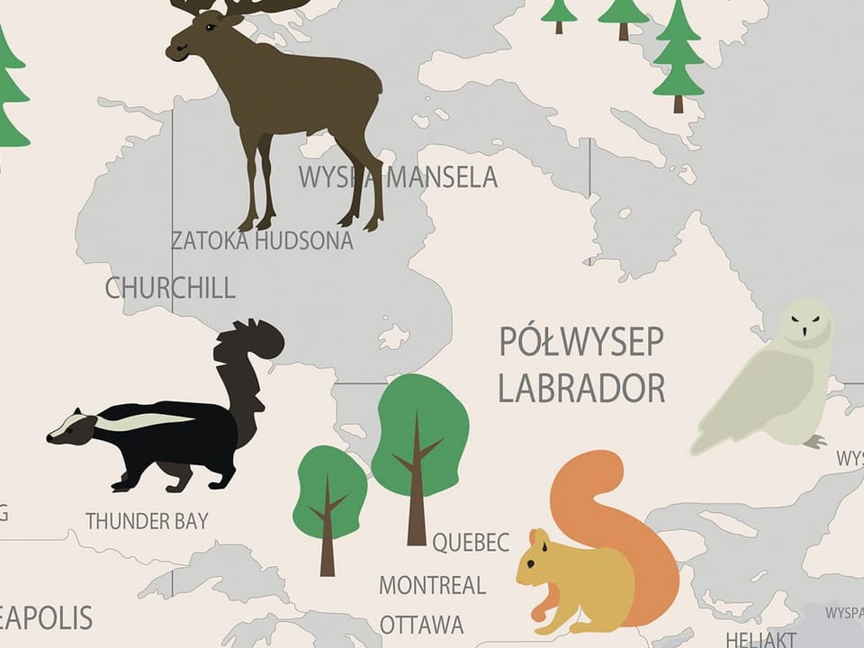 Fototapeta Mapa świata z fauną i florą - realne zdjęcie w rolce
