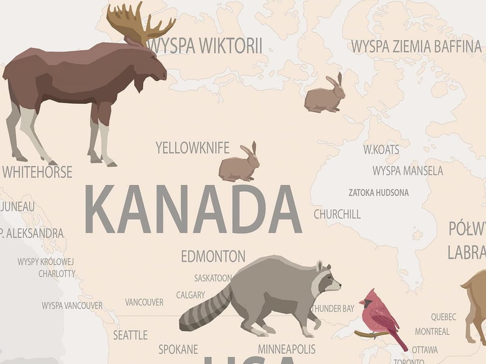Fototapeta Ilustrowana mapa świata z balonami - jakość wydruku i struktura materiału