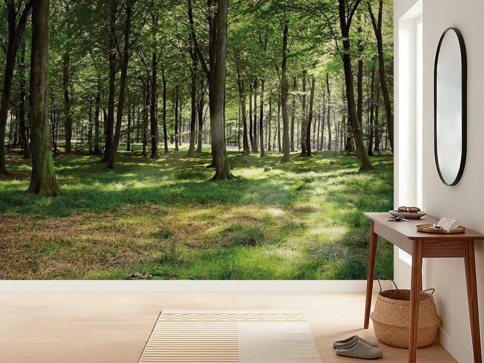 Fototapeta przedstawiająca las o świcie z wysokimi drzewami i promieniami słońca - inspiracji do minimalistycznego przedpokoju