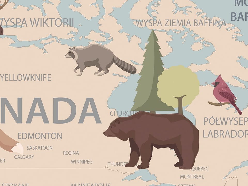 Fototapeta Mapa świata z ilustracjami zwierząt - realne zdjęcie w rolce