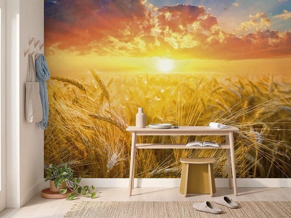 Fototapeta przedstawiająca złote kłosy pszenicy o zachodzie słońca z kolorowymi chmurami - inspiracja do przytulnego przedpokoju