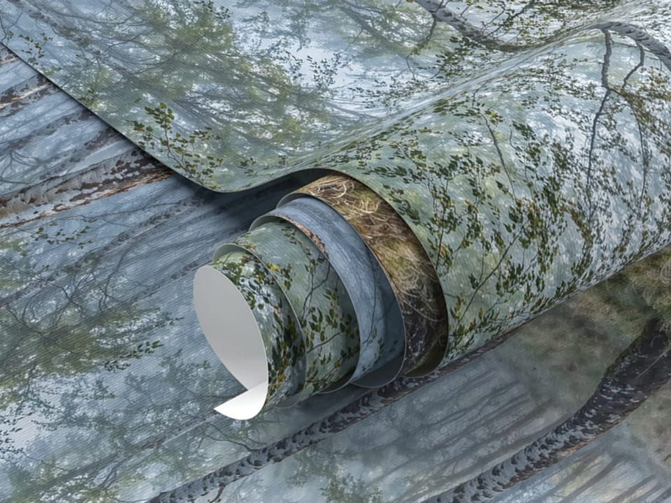 Fototapeta Las brzozowy w porannej mgle - realne zdjęcie w rolce