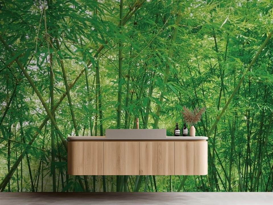 Fototapeta przedstawiająca gęsty las bambusowy z zielonymi liśćmi i naturalnym światłem - aranżacja za minimalistyczną umywalką w łazience