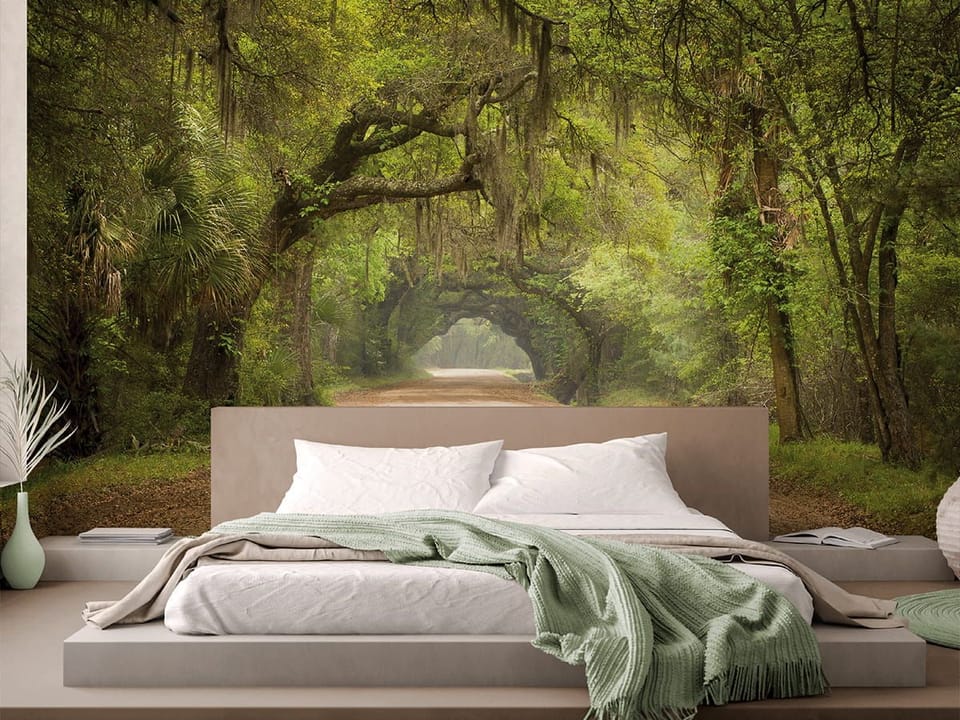 Fototapeta Leśne gęstwiny i piaszczysta droga we wnętrzu sypialni