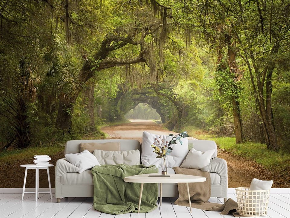 Fototapeta Leśne gęstwiny i piaszczysta droga we wnętrzu salonu