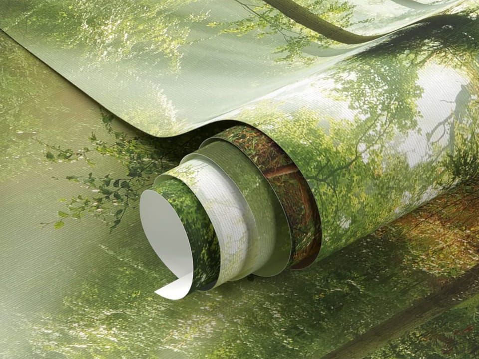 Fototapeta Promienie słońca w lesie - realne zdjęcie w rolce
