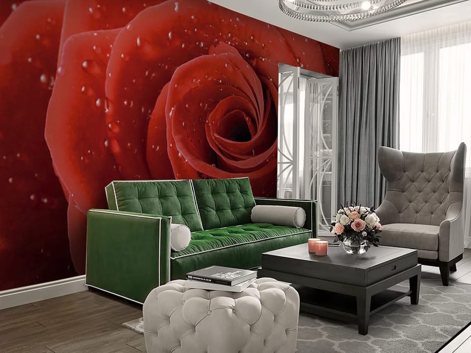 Fototapeta Czerwone róże z kroplami wody we wnętrzu salonu