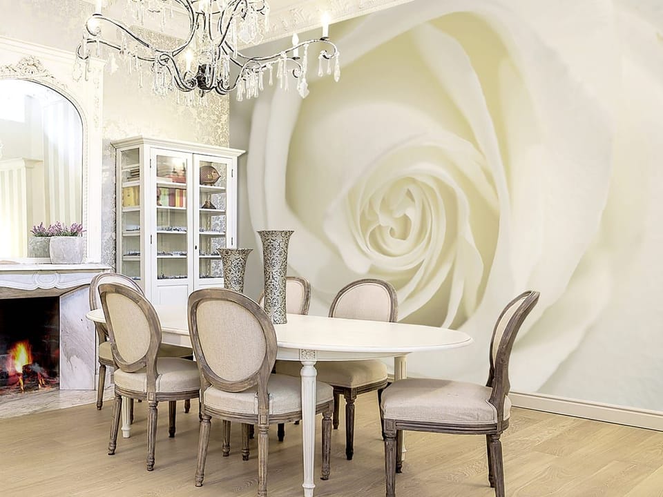 Fototapeta Zbliżenie na Białą Różę we wnętrzu kuchni