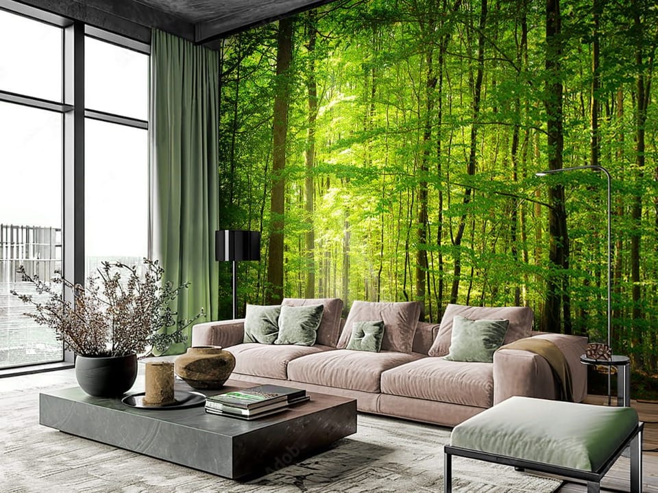 Fototapeta Las o świcie z promieniami słońca we wnętrzu salonu